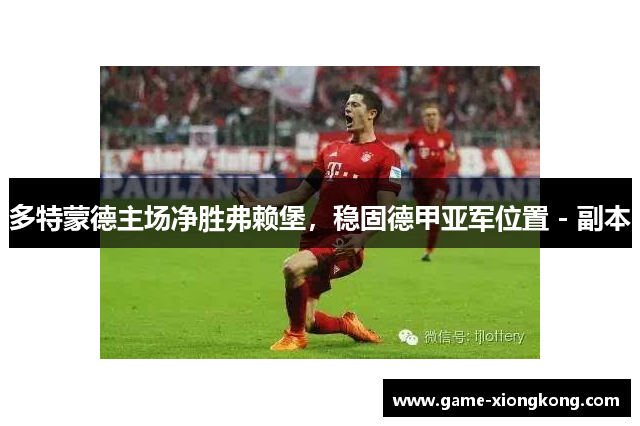 多特蒙德主场净胜弗赖堡，稳固德甲亚军位置 - 副本